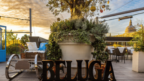 beloga
